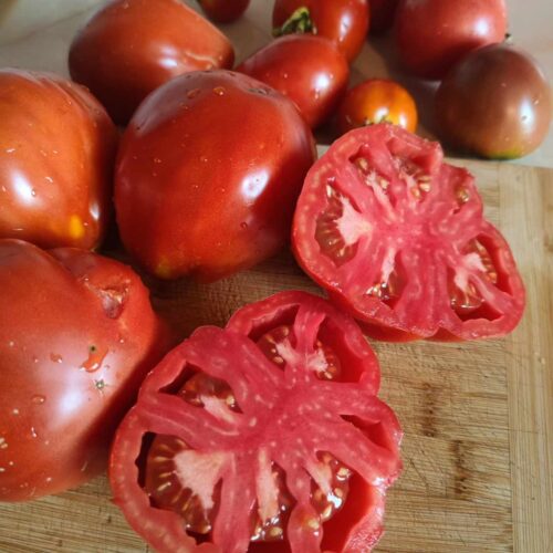 Kiedy siać i jak sadzić pomidory?
