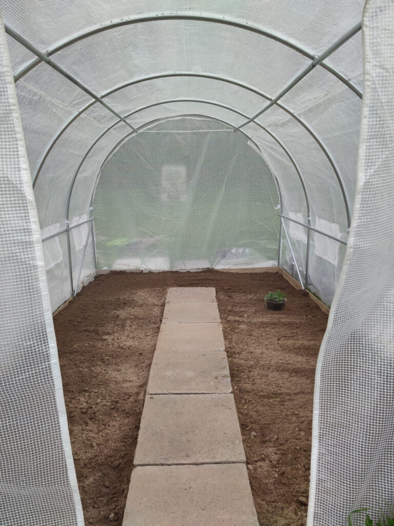 ogródek warzywny tania szklarnia