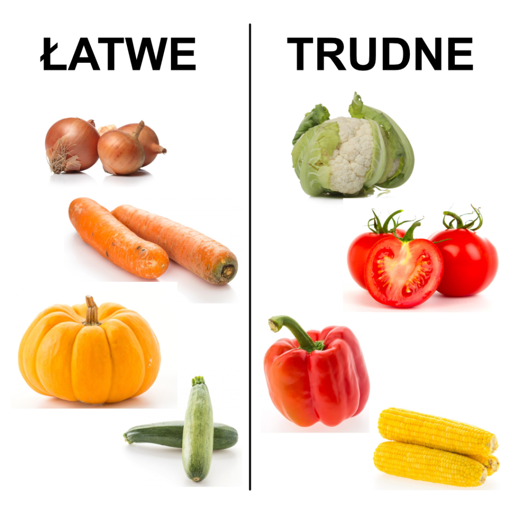 łatwe warzywa trudne warzywa